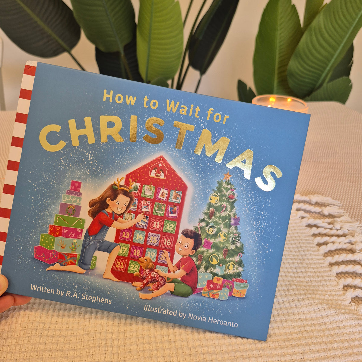 How to Wait for Christmas - written by R.A. Stephens and illustrated by Novia Heroanto (New Release)